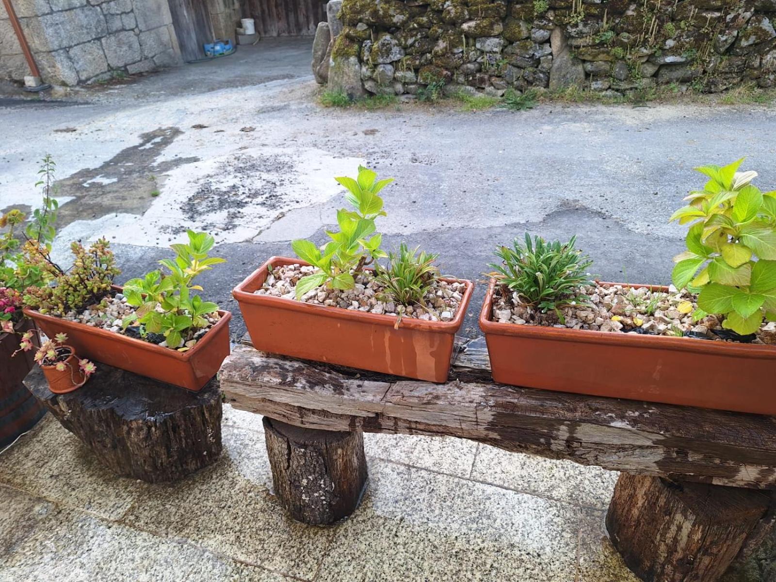 Pension O Corazon Da Ribeira Sacra La Teijeira Екстер'єр фото