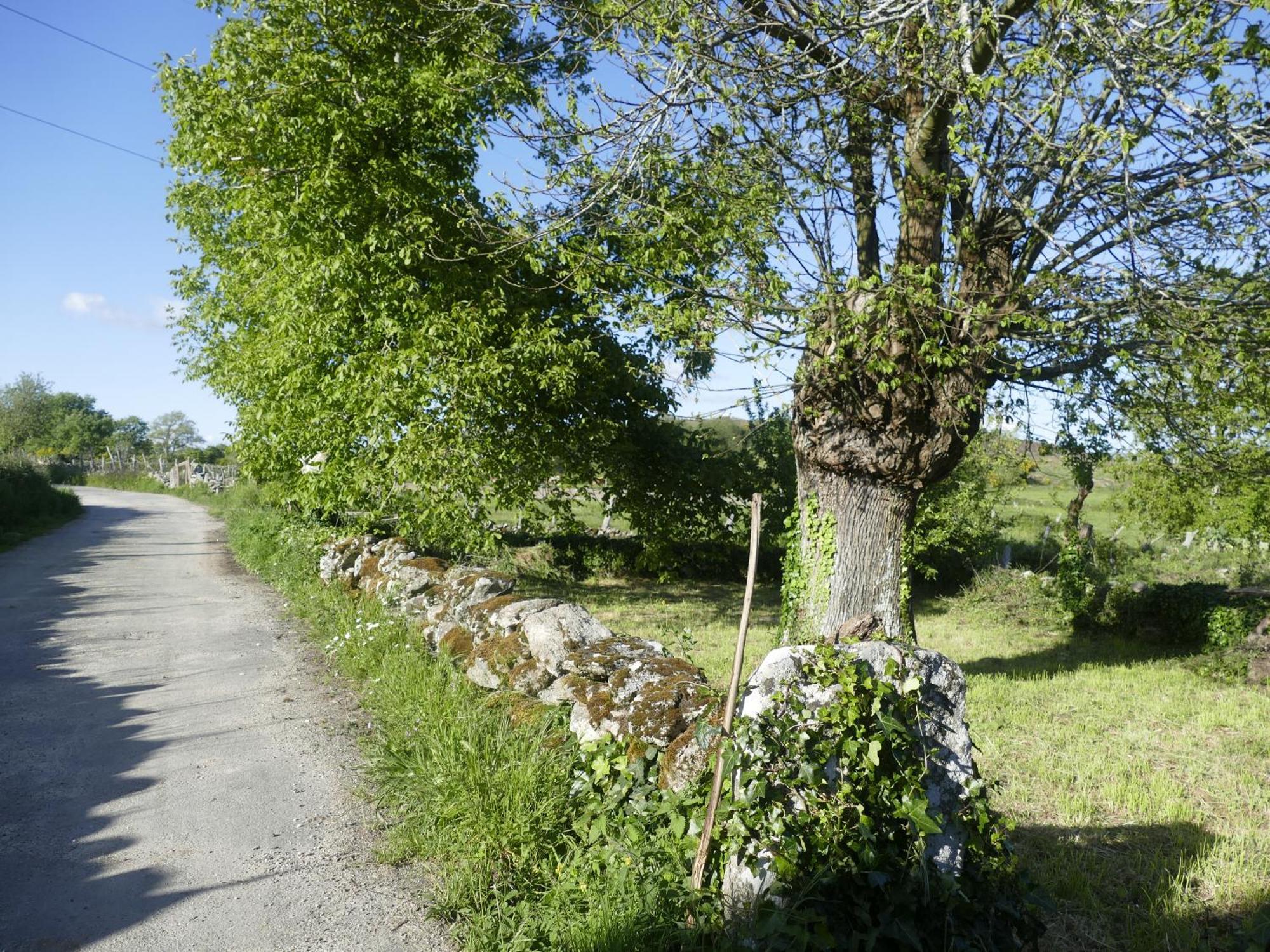 Pension O Corazon Da Ribeira Sacra La Teijeira Екстер'єр фото